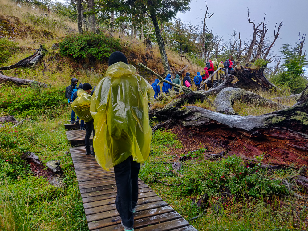 Wooden walkways on our way to Perito Moreno Glacier trekking