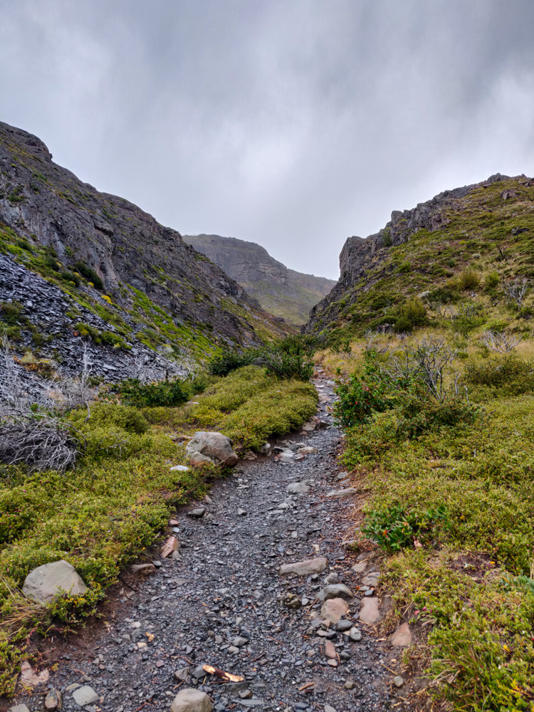 Gravel path flanked by green plants and pretty mountains