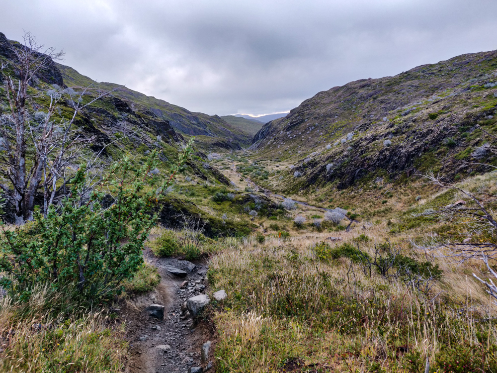 Valley covered in plants and a pretty, windy trail