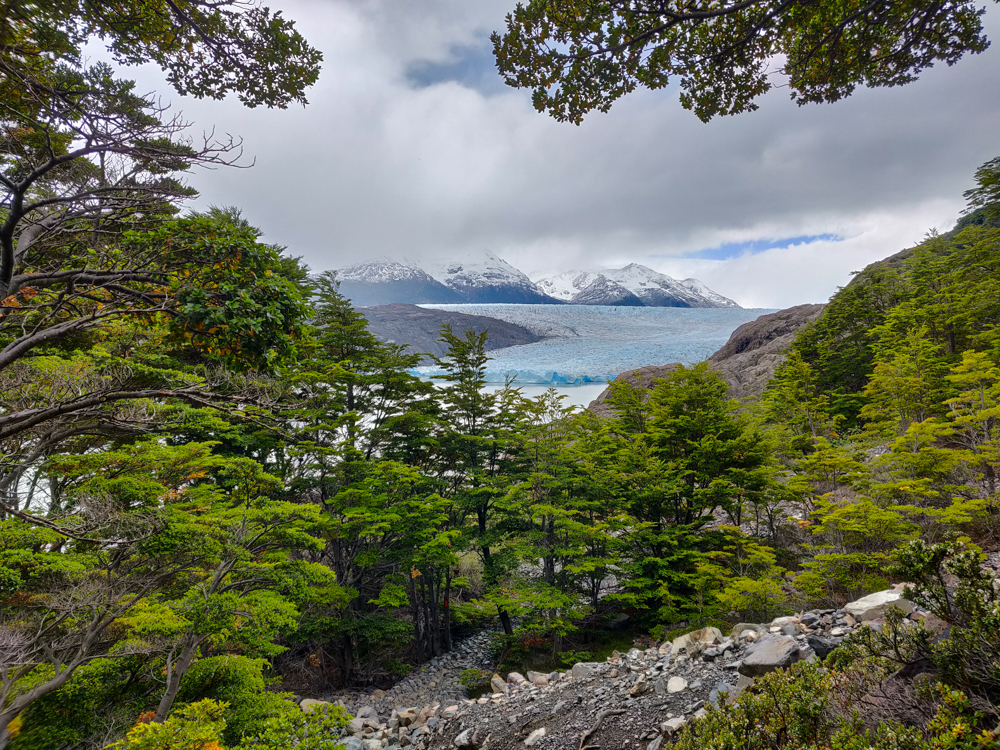 Slightly closer view of Grey Glacier from below the suspension bridge