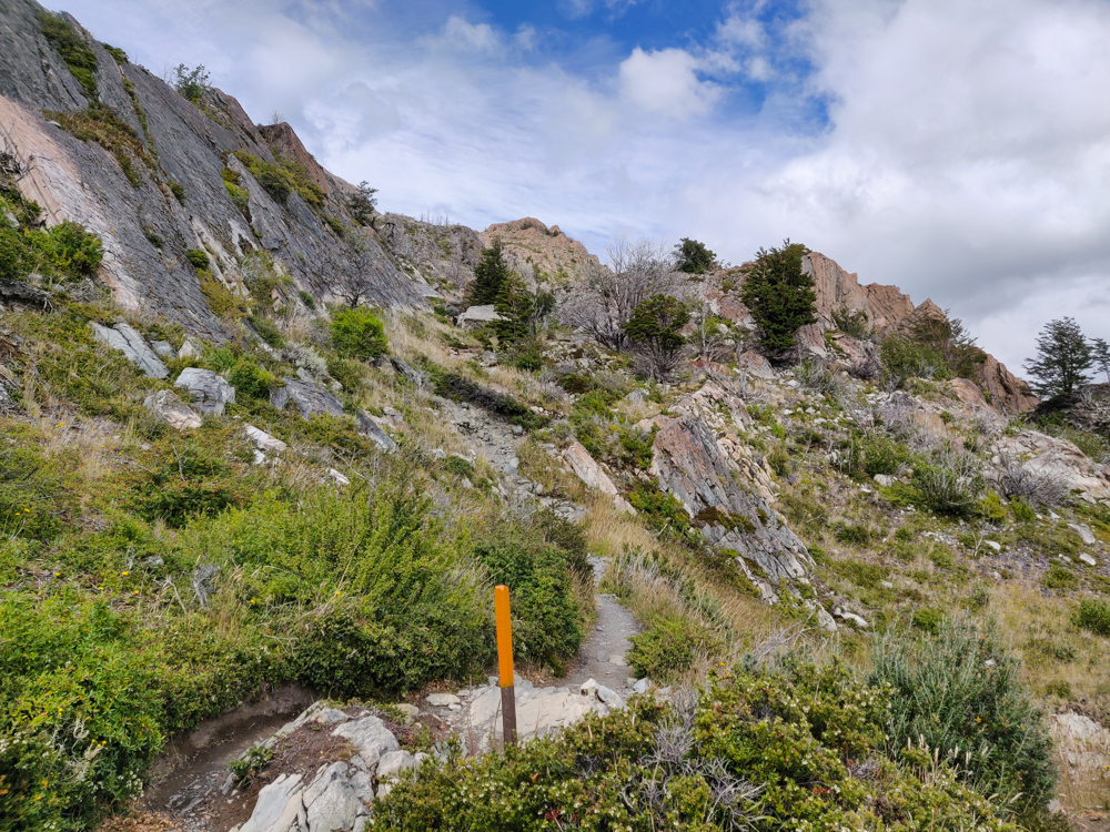 The trail snaking up a mountain