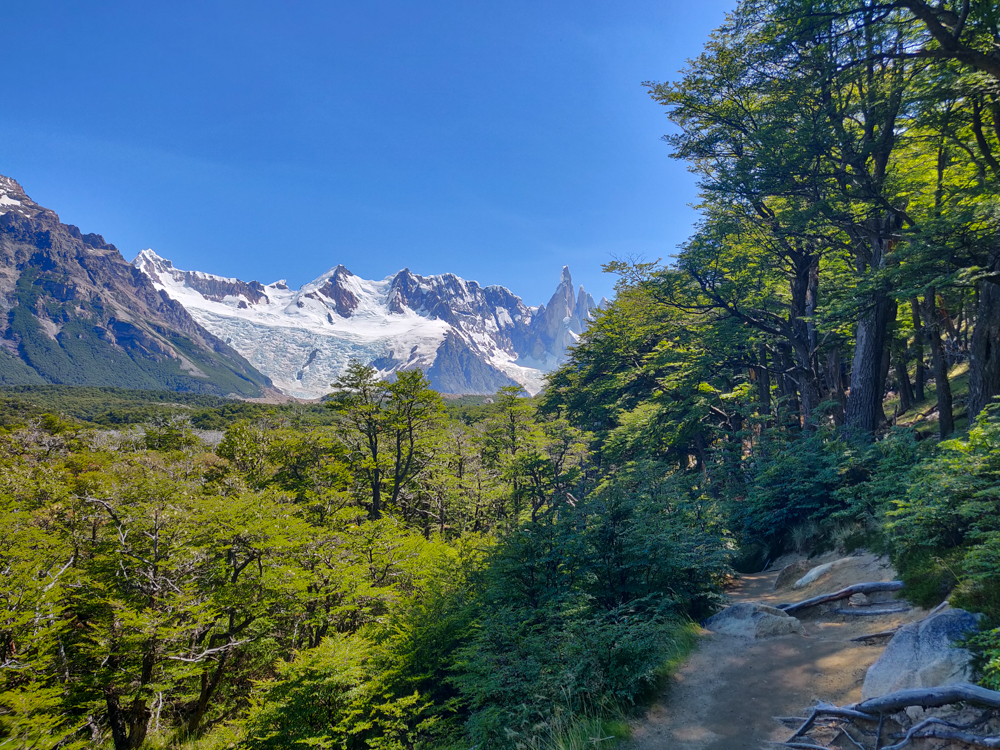 Glacier in the distance with a nice, shaded trail in the foreground