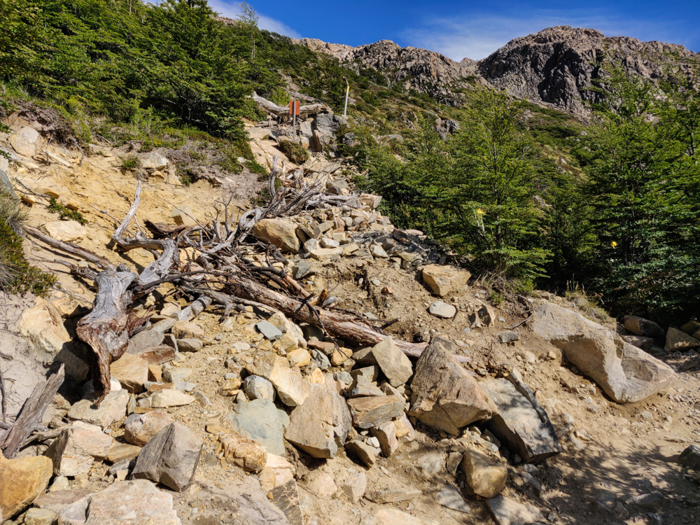 Rock and wood-covered trail