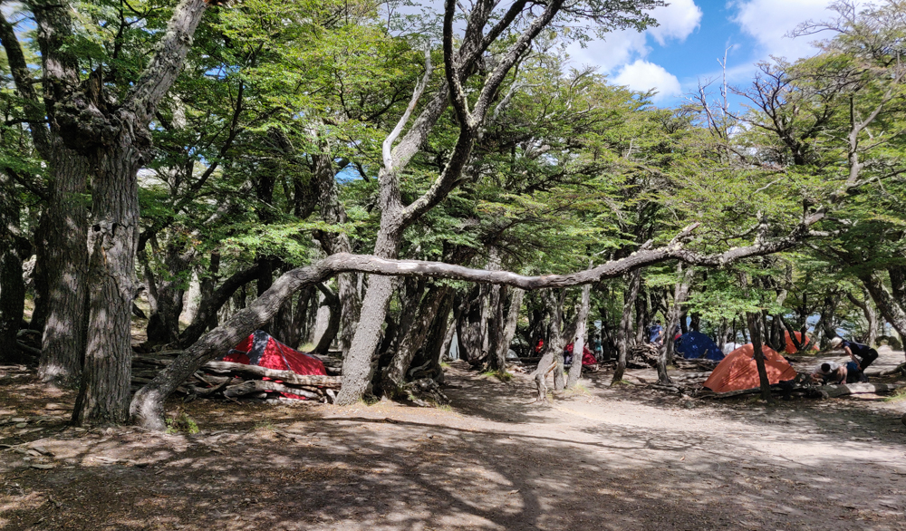 Campsite in the woods