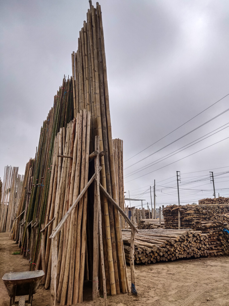 Bamboo standing on end at the bamboo store