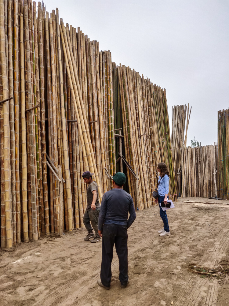 Debbie and the two bamboo guys looking for the perfect bamboo