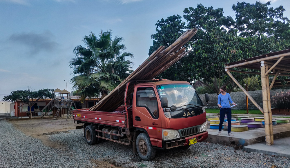 The delivery truck loaded up with bamboo