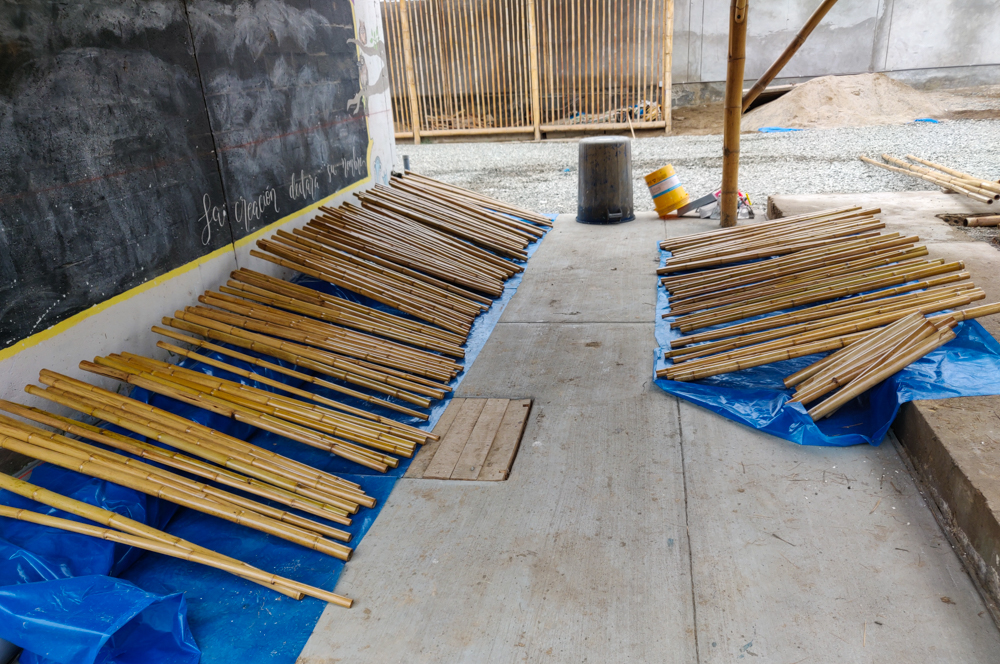 Bamboo laying out to dry