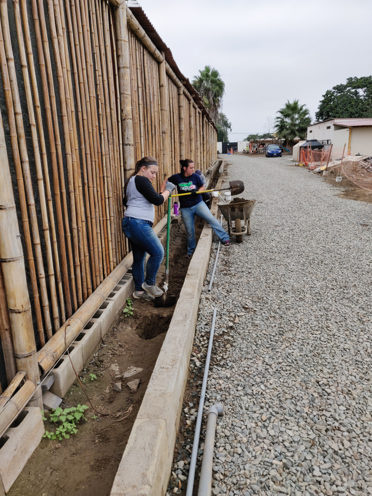 Team members digging out holes for the plants