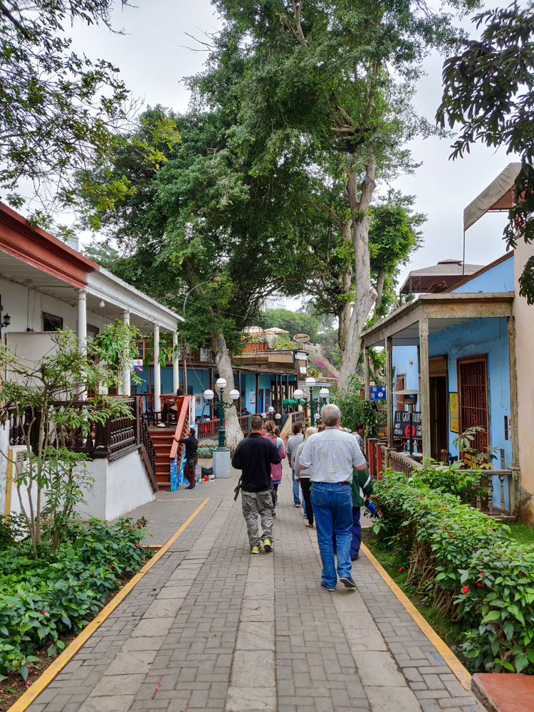 The group walking through the pretty walk to the ocean