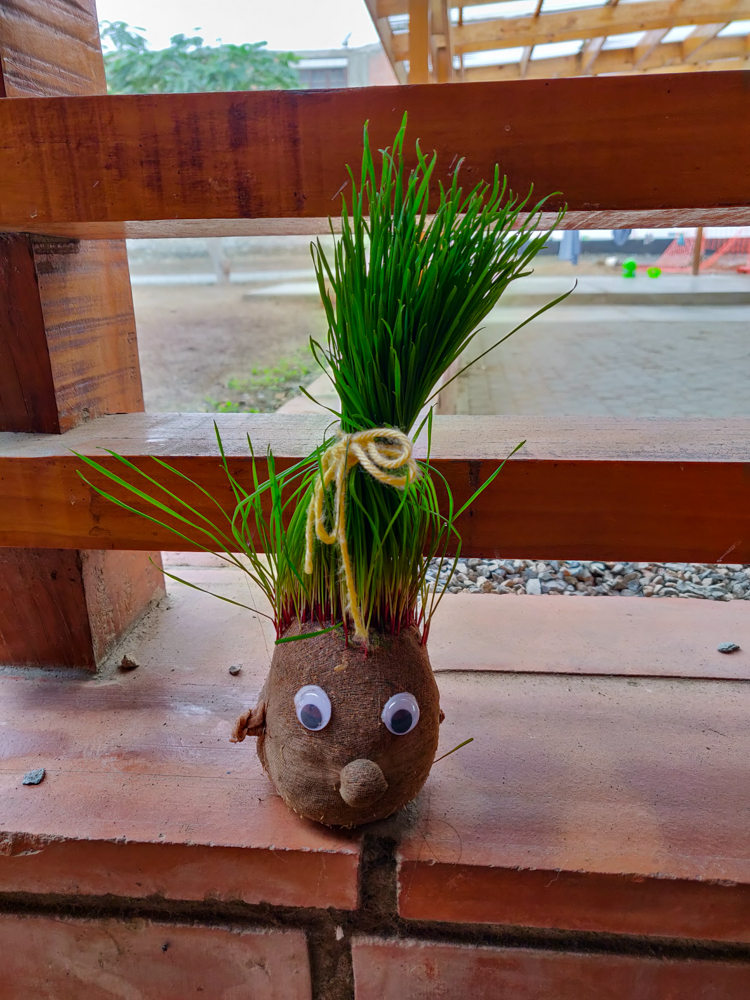 Googly-eyed head with grass hair growing out of the top