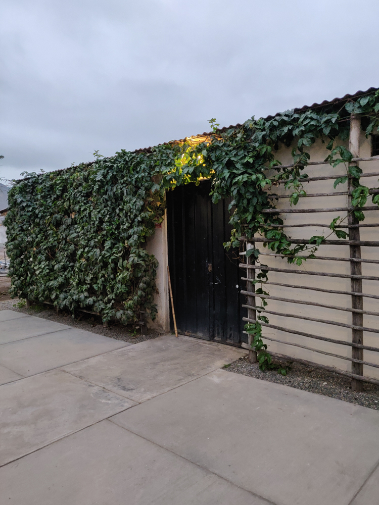 Pump house with a new over-door light fixture