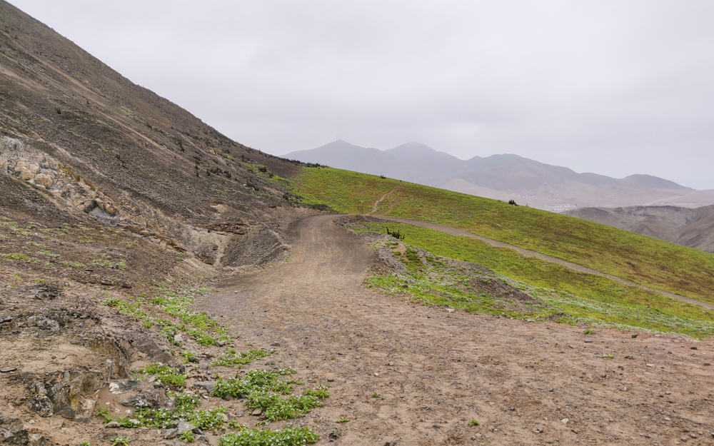 A half-green, half-brown mountain