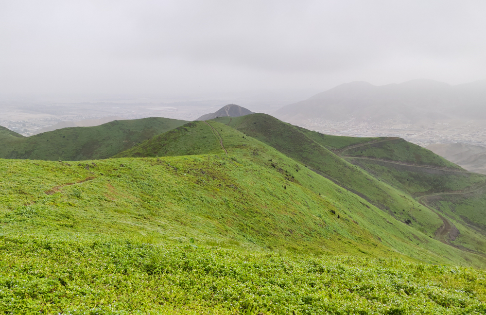 Green mountains