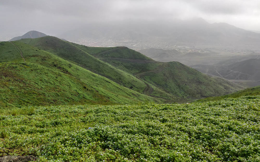 Green mountain view