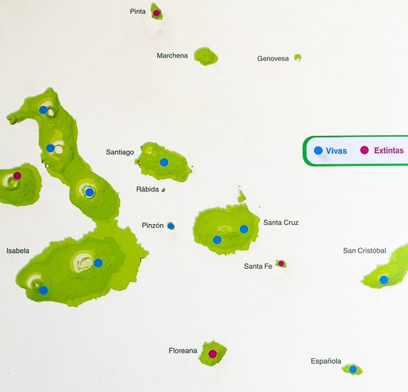 MAPAS DO TESOURO - LAGO ISABELLA (Local 1)