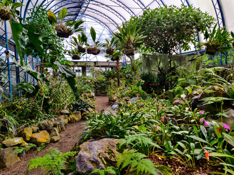 Welcome to Quito and Quito Botanical Gardens | Lark on the Move