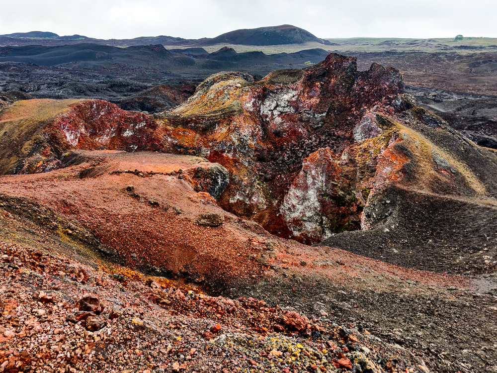 Sierra Negra Volcano, Isabela Island - Ecuador & Galapagos Insiders